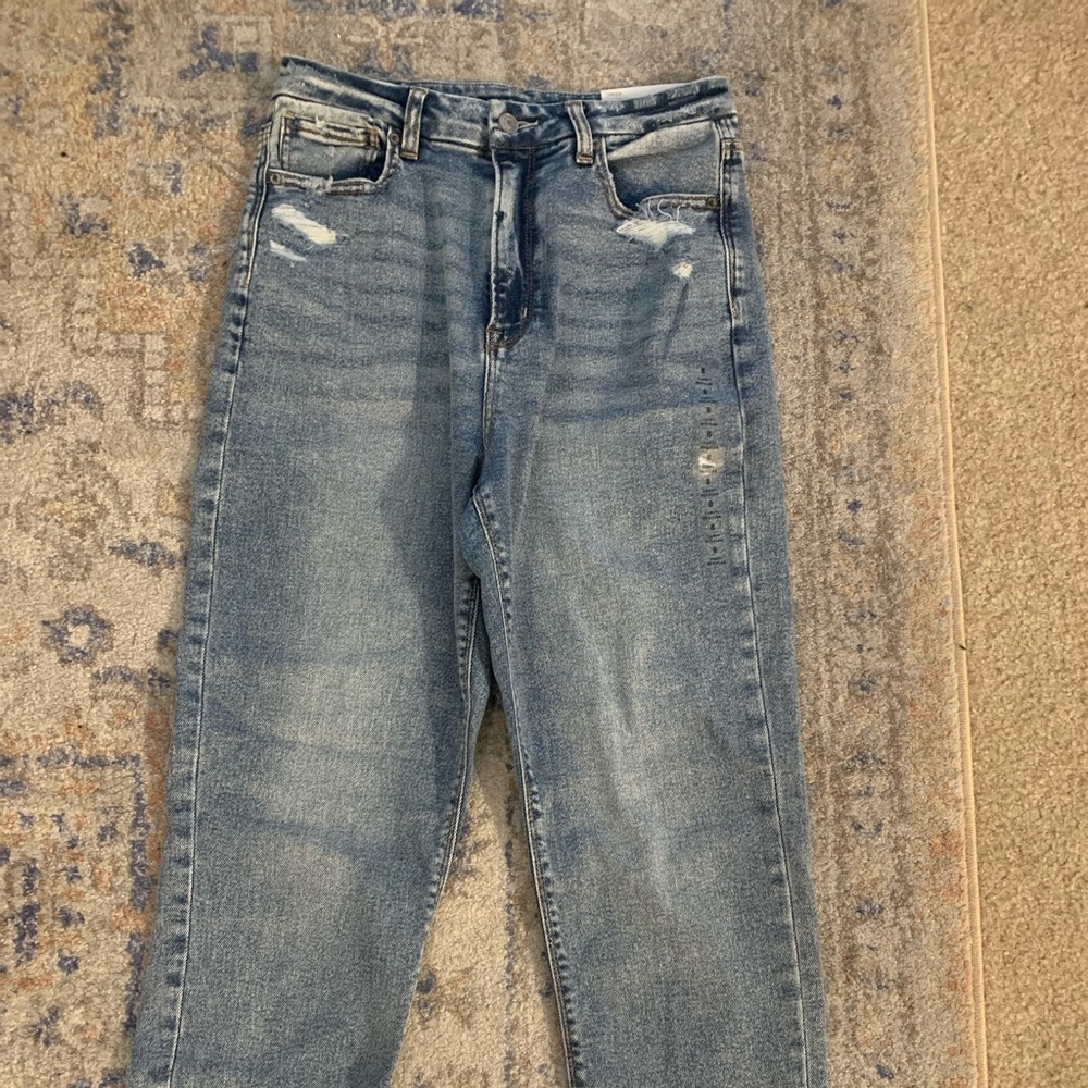 American Eagle Distressed Curvy Mom Jean